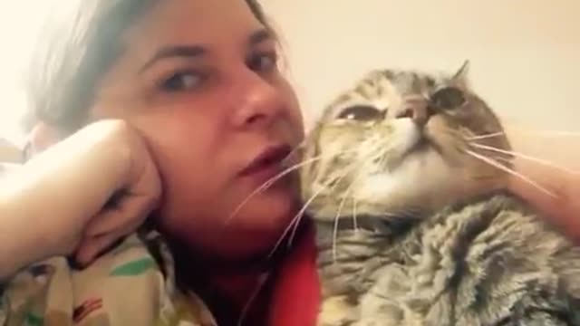 Talking Cat Saying NO! To Kisses On The Head