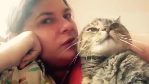 Talking Cat Saying NO! To Kisses On The Head