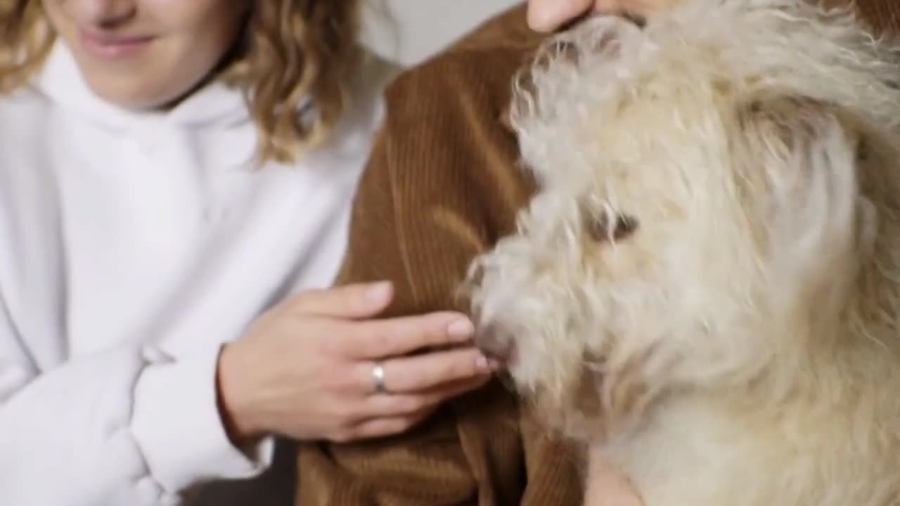 Perfect guide for imperfect dog owners!