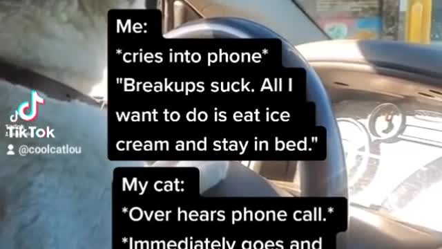 Now that's a friend!