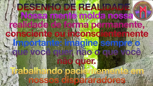 02 Percepção e Realidade Parte 4