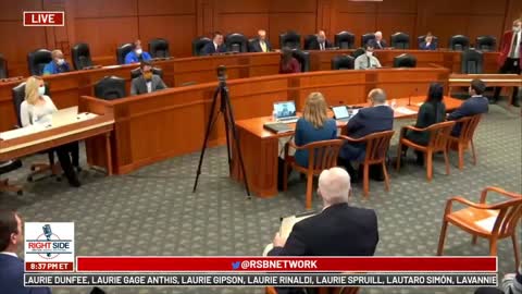 D-Rep. Cynthia A. Johnson SLAMMED with THOR'S HAMMER and SMASHED by WITNESS! Michigan Voter Hearing!