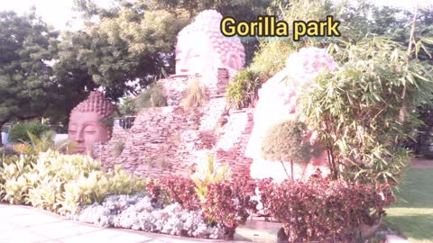 Khammam and bhadrachalam/gorilla park