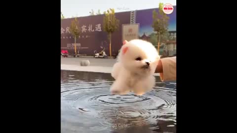 which app that make long video to be short video