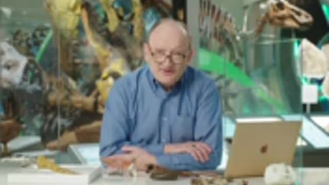 Paleontologist Answers Dinosaur Questions From Twitter