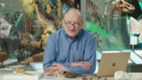 Paleontologist Answers Dinosaur Questions From Twitter
