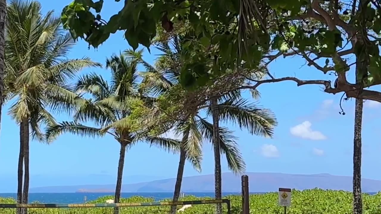 Kamaole Beach Park 1 review - Maui Beaches