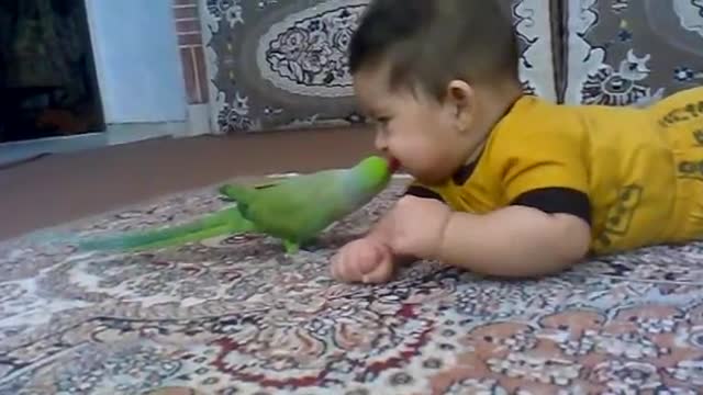 cute child & cute bird love