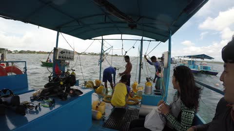 Walking with tropical fish in the sea