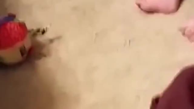 🥰🥰🥰