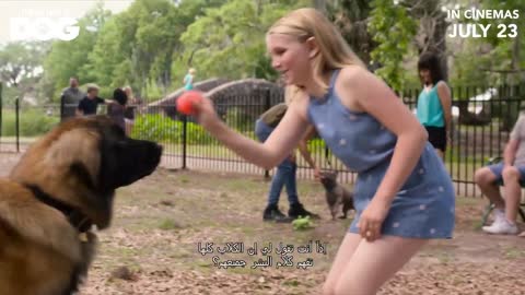 Think Like A Dog # Official Trailer # In Cinemas July 23