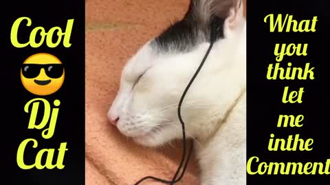 What happens when your cat 😺 use your Earphones 🎧 watch the Funny 🤣🤣 act