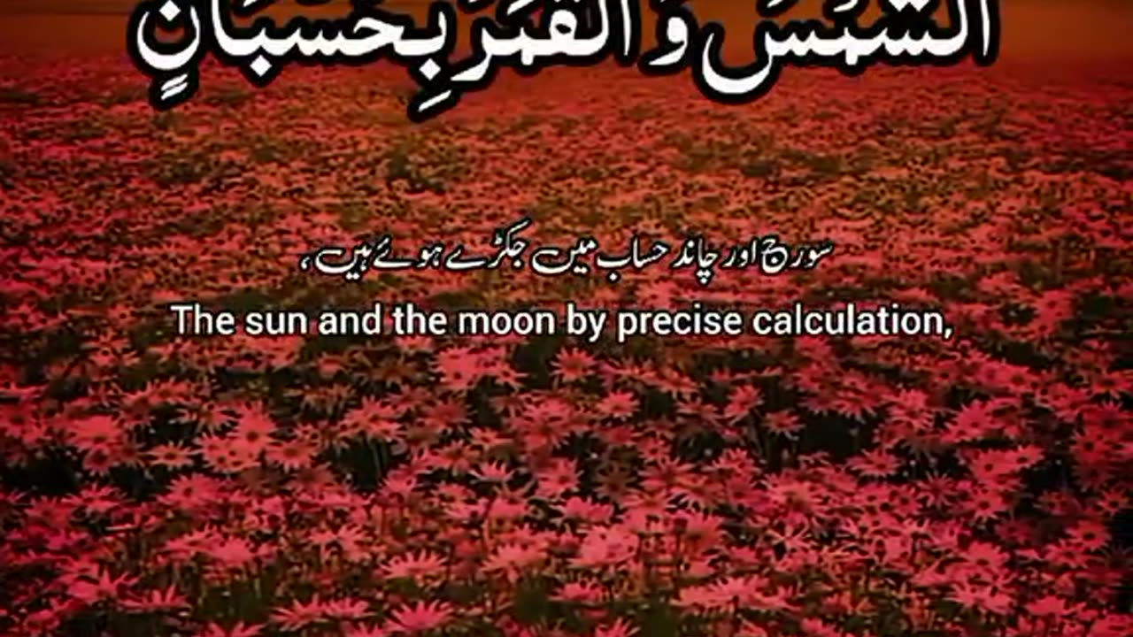 Most peacefull and Relaxing Sound In The World