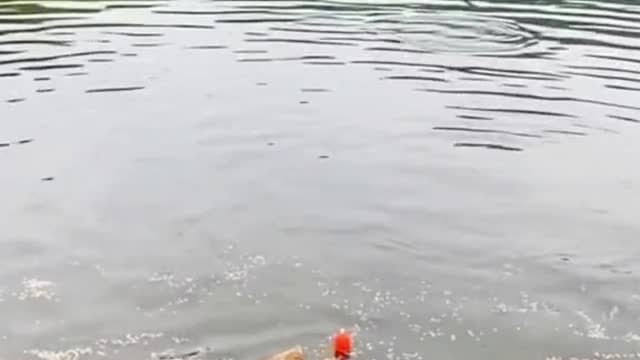 Where is that lake looks really nice