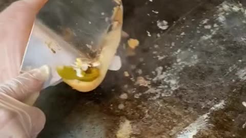 Bacon sandwich