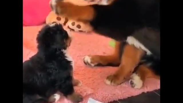 Good mother