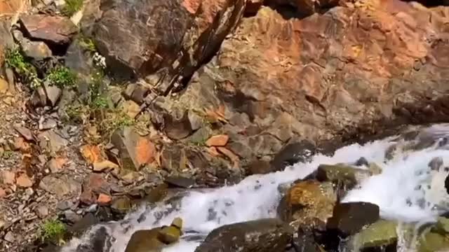 Beautiful Adventure