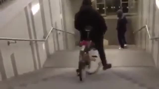 Viral video today short 31funny