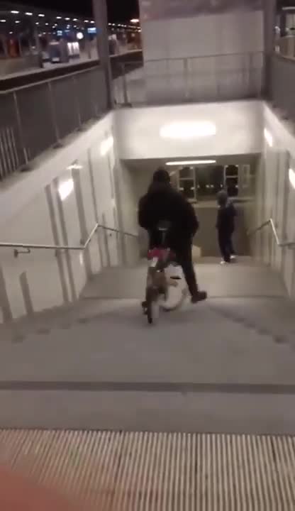 Viral video today short 31funny