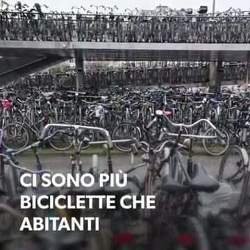 OLANDA:IL PARADISO DELLE BICICLETTE DOCUMENTARIO le biciclette in Olanda hanno tutte la targa che non è la targa del motorino ma è una sigla sul telaio per dire chi è il proprietario perchè le fregano pure