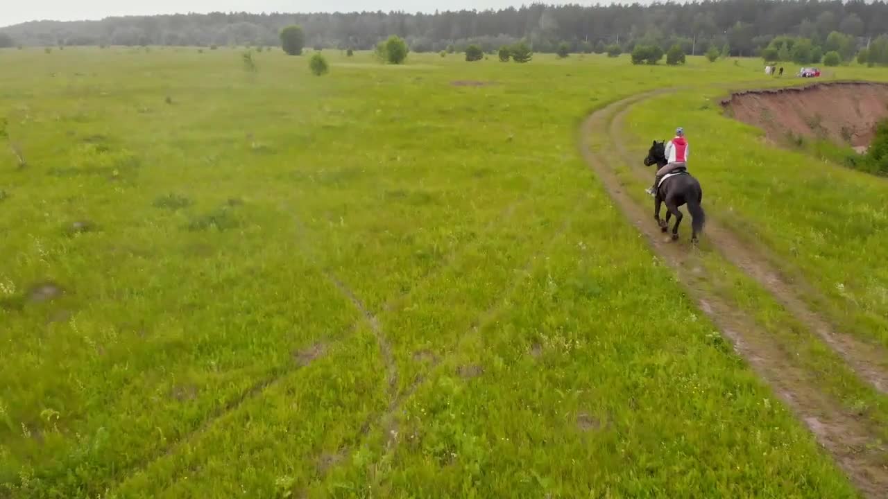 A landscape of a bright green meadow - a person riding a horse