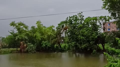 Rainy day in beautiful nature.