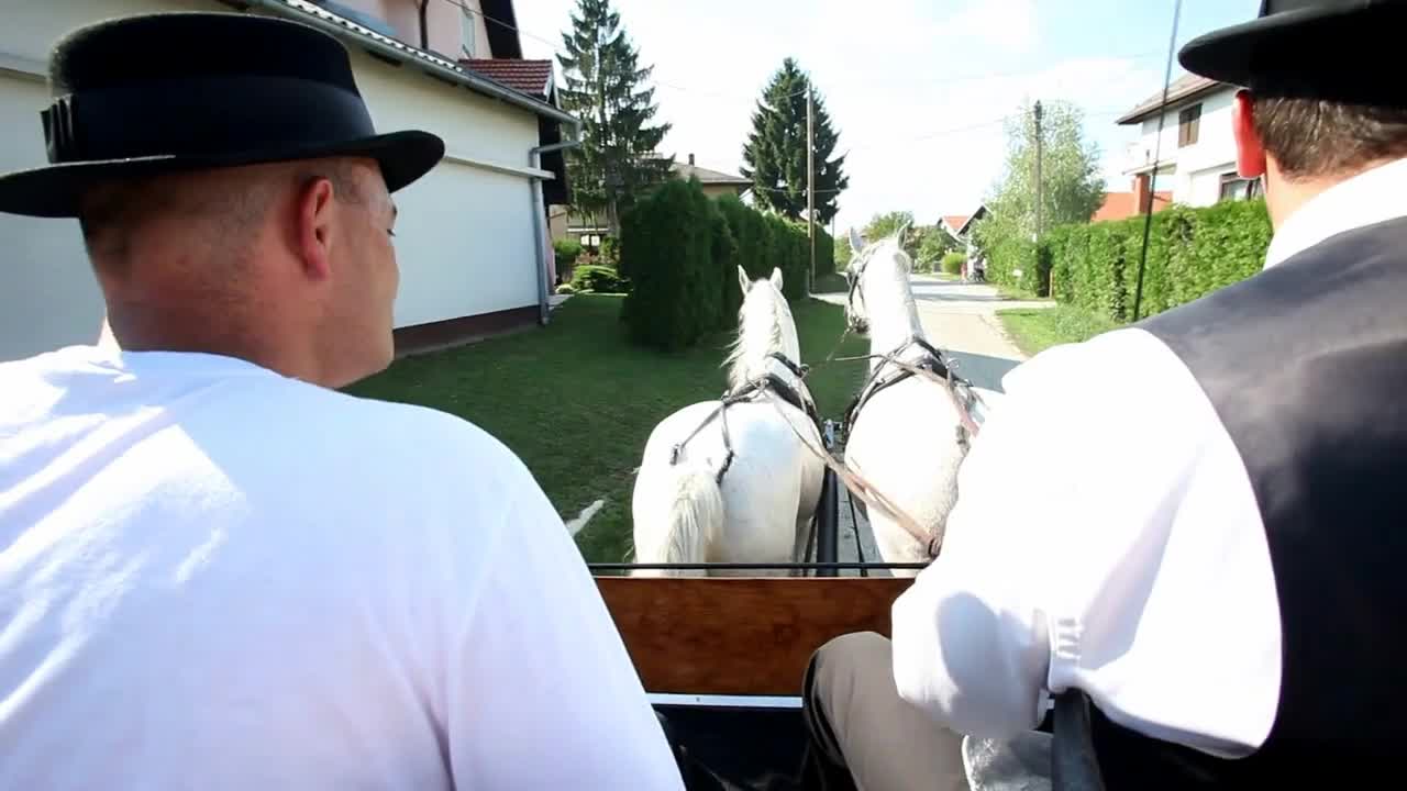 Two men sitting on horse drawn carriage on road