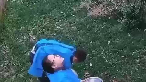 Cute and funny animals