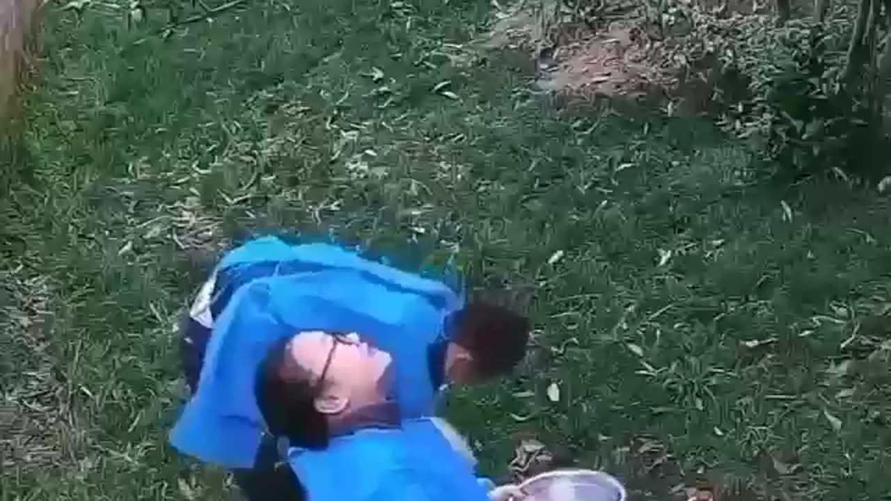 Cute and funny animals