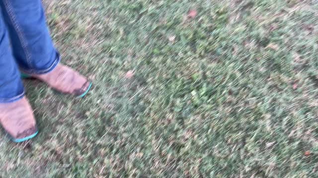 Anderson County District 5