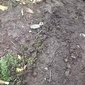 Destroyed Ukrianian military equipment