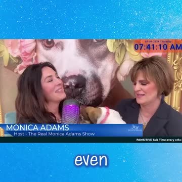 Are you causing your dog to misbehave?