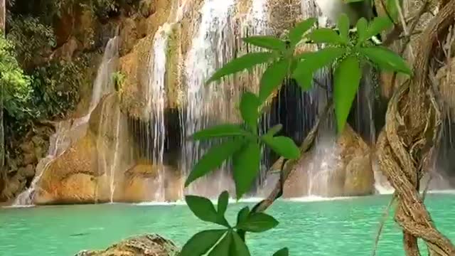 Paradise
