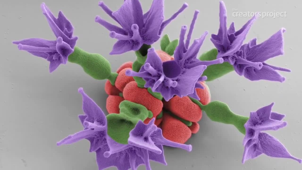 How to create microscopic flowers