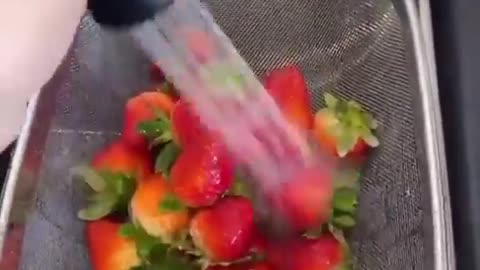 Disbelief ASMR Video Number #5