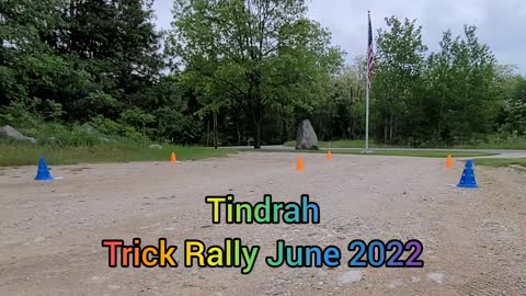 Tindrah's Novice Trick Rally June 2022
