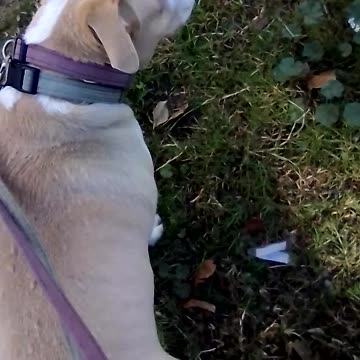 Better with peg parnevik