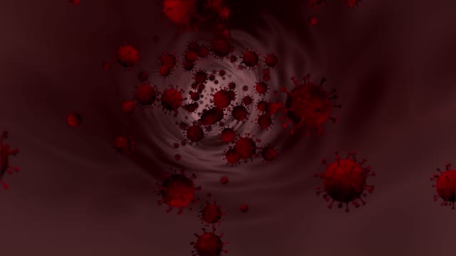 What does a virus look like