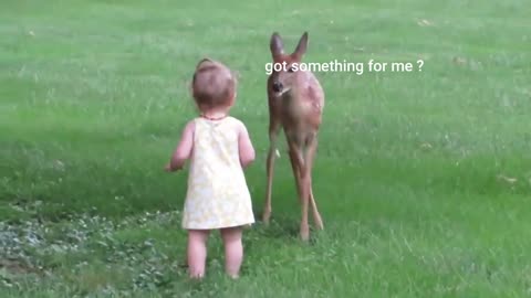 abandoned fawn makes his new friend