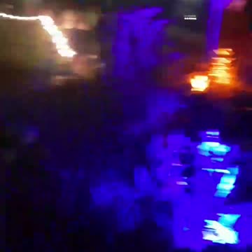 Purple light in leaf tree. Year 2, Part 17