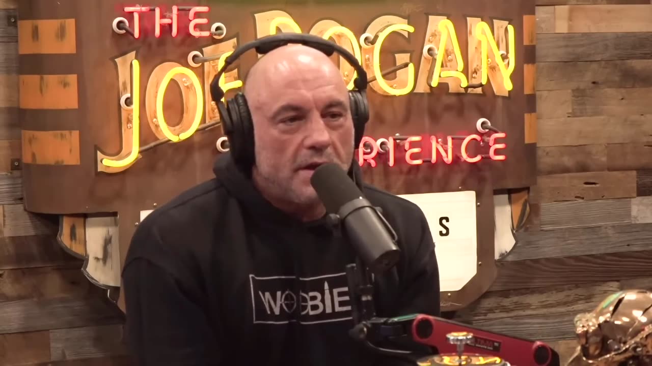 Wolves vs Coyotes - Who is MORE Intelligent? | Joe Rogan & Dan Flores #jre