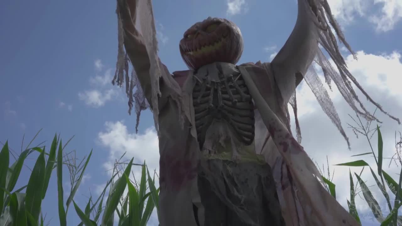 7 Ft Corn Stalker Animatronic - Spirit Halloween