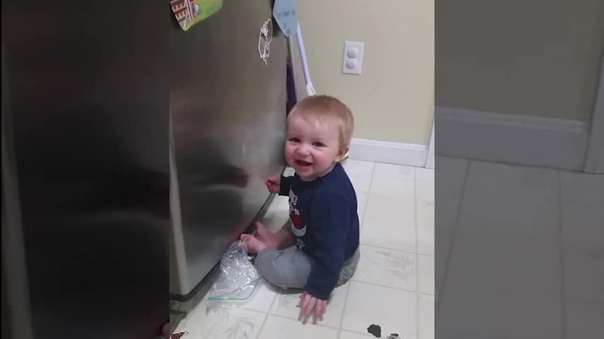 Baby open the fridge