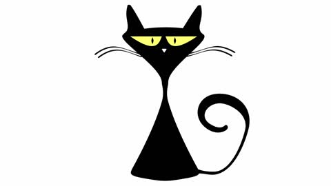 Slim and Animation Cat
