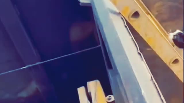 funny videos