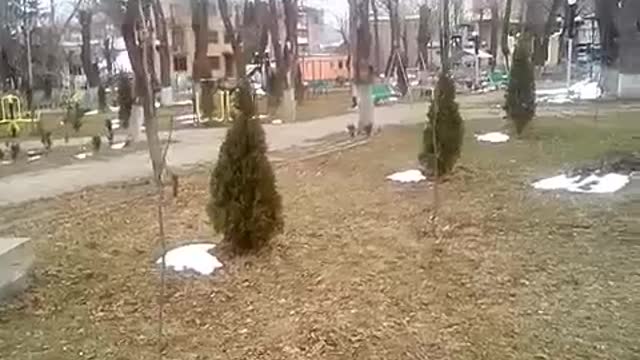 The arrival of spring