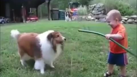 A little Child play with water and dog.😍🥰🐕