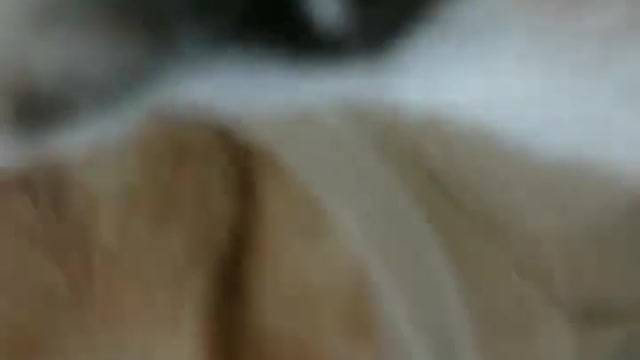 How Adorable cat #shorts