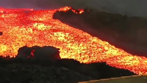 Lava veloz en la palma