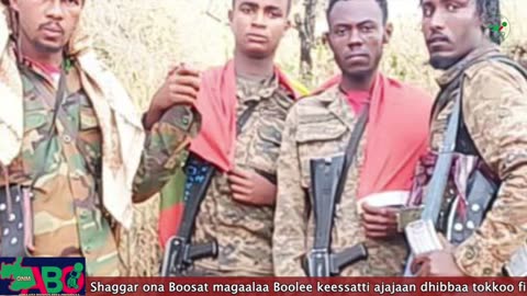 Oduu Waaree ONM-ABO Amajjii 17, 2024